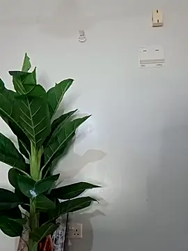 korah01 online show from 11/19/25, 08:03