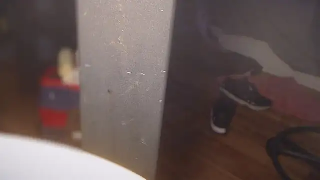 flexingplexico online show from 03/01/25, 05:27