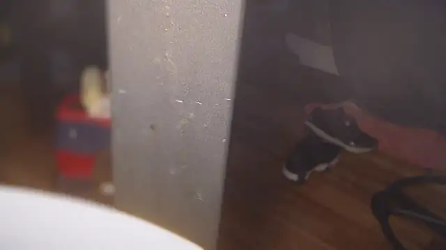 flexingplexico online show from 03/01/25, 08:31