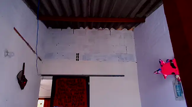Snapshot of Zafiro_subversiva chatting on 02/03/25, 02:13 Zafiro subversiva online show from 02/03/25, 02:13