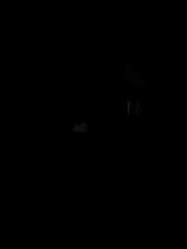 Off the Lesh online show from 10/15/25, 07:19