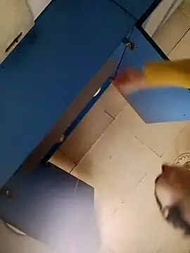 Gussie Bridie online show from 10/24/25, 04:53