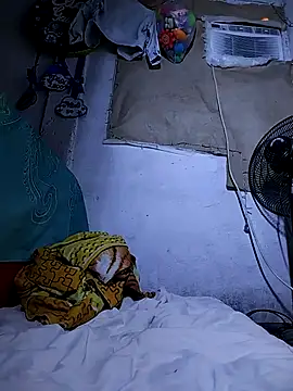 The-quee22 online show from 10/11/25, 11:31