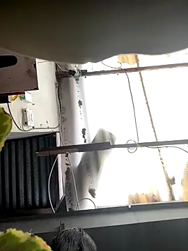 luna asss online show from 10/25/25, 07:30