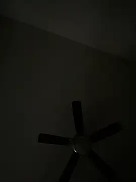 goldbuni online show from 12/08/24, 01:36