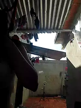 room 24funn online show from 01/23/25, 08:24