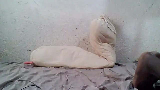 demo2004 online show from 10/17/25, 11:13