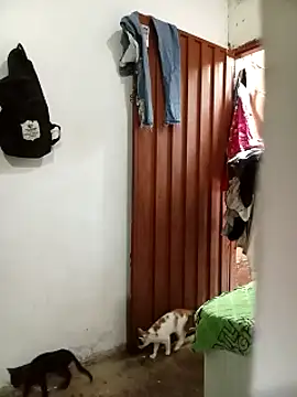 Andreita 95 online show from 11/13/25, 11:31