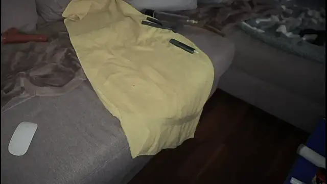 Snapshot of swissMen_DE chatting on 02/19/25, 08:12 swissMen DE online show from 02/19/25, 08:12