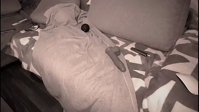 Snapshot of swissMen_DE chatting on 03/02/25, 05:54 swissMen DE online show from 03/02/25, 05:54