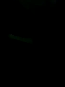 gurilove online show from 11/16/25, 04:51