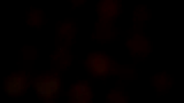 leatherz69 online show from 02/27/25, 07:12