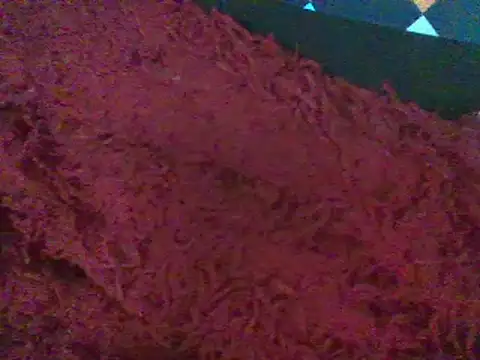 RoxiRedXXX online show from 01/11/25, 06:12