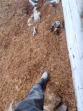 Snapshot of murokkk31 chatting on 11/15/25, 12:45 murokkk31 online show from 11/15/25, 12:45