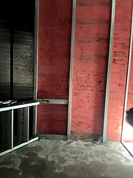 Hellen 111 online show from 11/11/25, 03:12