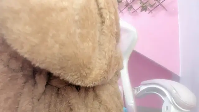 meribeth303av online show from 12/22/24, 02:17