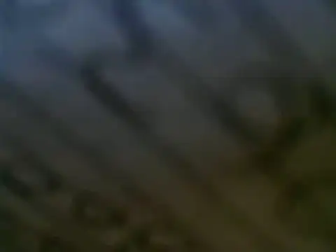 Snapshot of WHITEDAROSE chatting on 03/12/25, 07:17 WHITEDAROSE online show from 03/12/25, 07:17