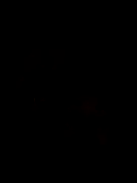 Snapshot of Ory22 chatting on 11/01/25, 04:42 Ory22 online show from 11/01/25, 04:42