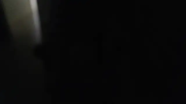 joeydee1 online show from 12/07/24, 07:21