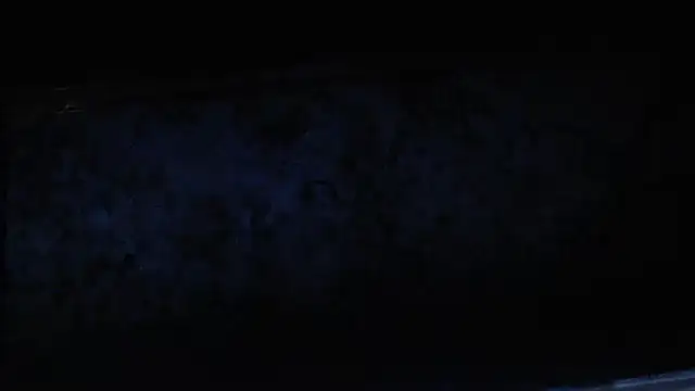 joeydee1 online show from 02/17/25, 02:04