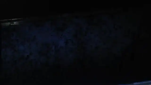 joeydee1 online show from 02/17/25, 05:10