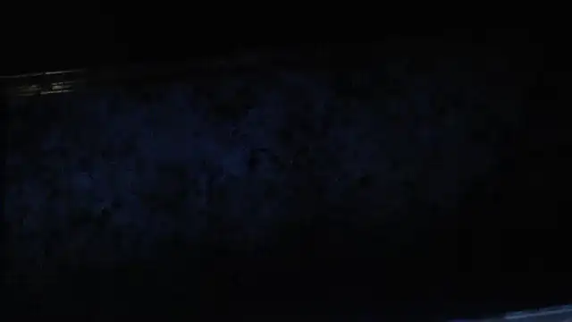 joeydee1 online show from 02/17/25, 11:20