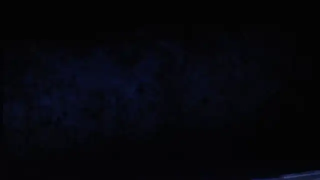 joeydee1 online show from 02/19/25, 12:03