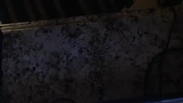 joeydee1 online show from 02/19/25, 03:06