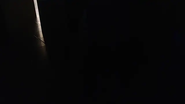 joeydee1 online show from 03/15/25, 11:29