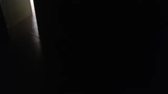 joeydee1 online show from 03/15/25, 11:50