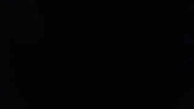 joeydee1 online show from 03/16/25, 05:58