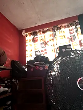 VL25DN26 online show from 11/07/25, 04:51