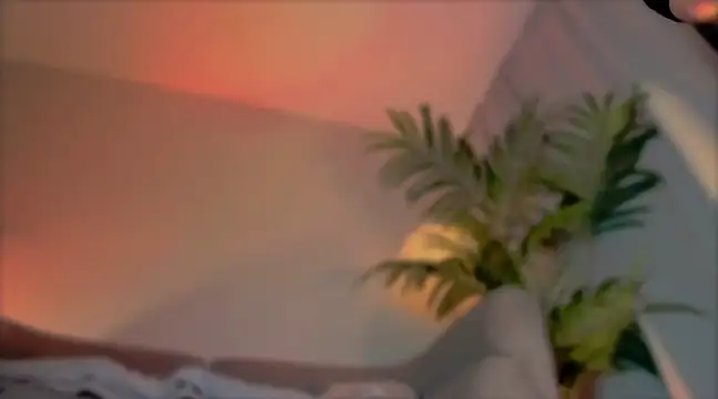  cherry bloss  online show from 03/21/25, 05:21