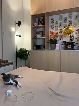 Snapshot of juanasnz99 chatting on 01/26/25, 02:56 juanasnz99 online show from 01/26/25, 02:56