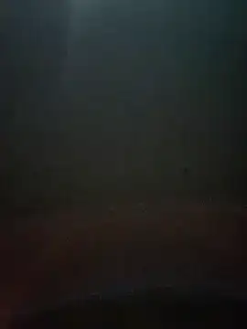 cumshotboy01 online show from 12/16/24, 03:54