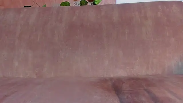 sammyfox97 online show from 11/14/25, 01:32