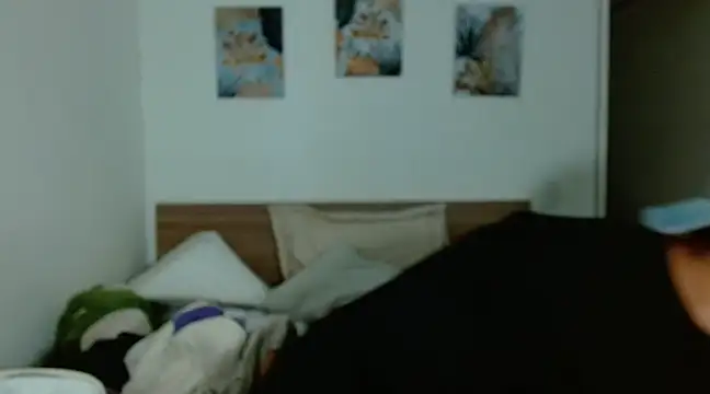 Snapshot of Baltazar_Dupont chatting on 01/24/25, 09:47 Baltazar Dupont online show from 01/24/25, 09:47