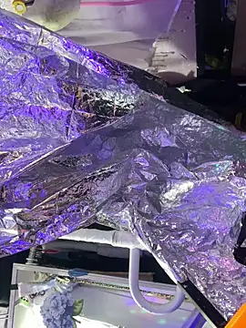 gurlnips online show from 10/08/25, 06:05