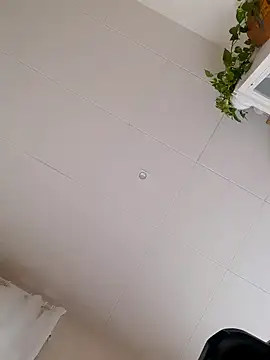 Greacky online show from 12/14/24, 12:01