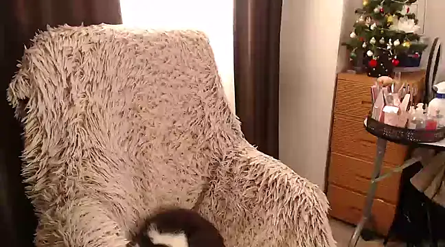 Snapshot of Goddessmxx chatting on 12/13/24, 11:55 Goddessmxx online show from 12/13/24, 11:55