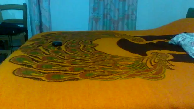 Snapshot of petan33 chatting on 10/20/25, 07:47 petan33 online show from 10/20/25, 07:47