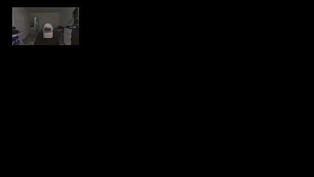 Snapshot of horfet chatting on 09/24/25, 05:49 horfet online show from 09/24/25, 05:49