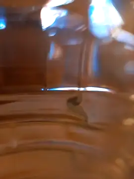 kx93 online show from 10/07/25, 03:47