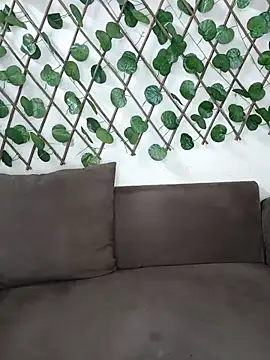 Bold-Cat online show from 11/17/25, 04:46