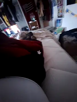 thefrenchhogan29 online show from 02/13/25, 04:07