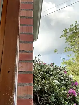 Penelope-Hot online show from 11/11/25, 08:53