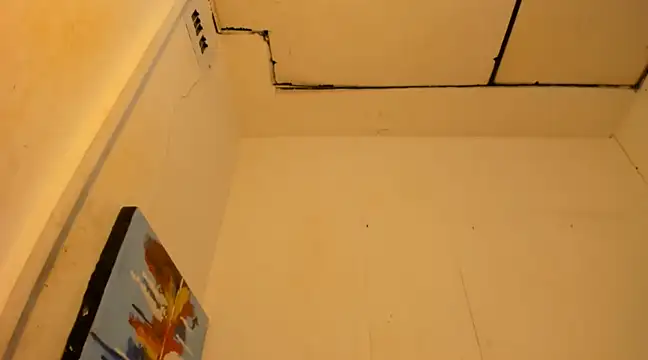 janestones online show from 01/12/25, 09:19