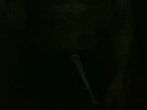 dangerman94 online show from 10/22/25, 02:34