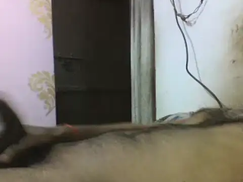 Snapshot of Desi_GfBf chatting on 03/03/25, 05:50 Desi GfBf online show from 03/03/25, 05:50