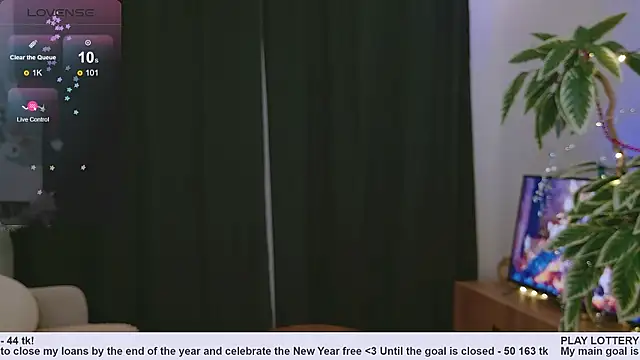 Pink SeaGul online show from 12/31/24, 03:42